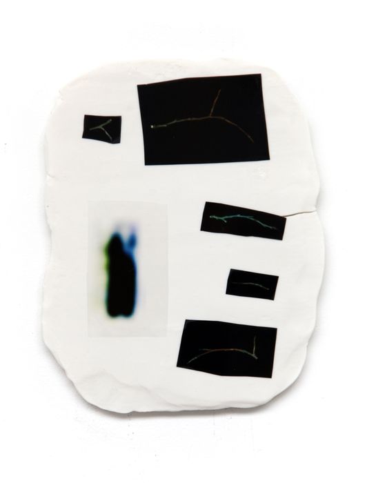 Pl.7_Collecte